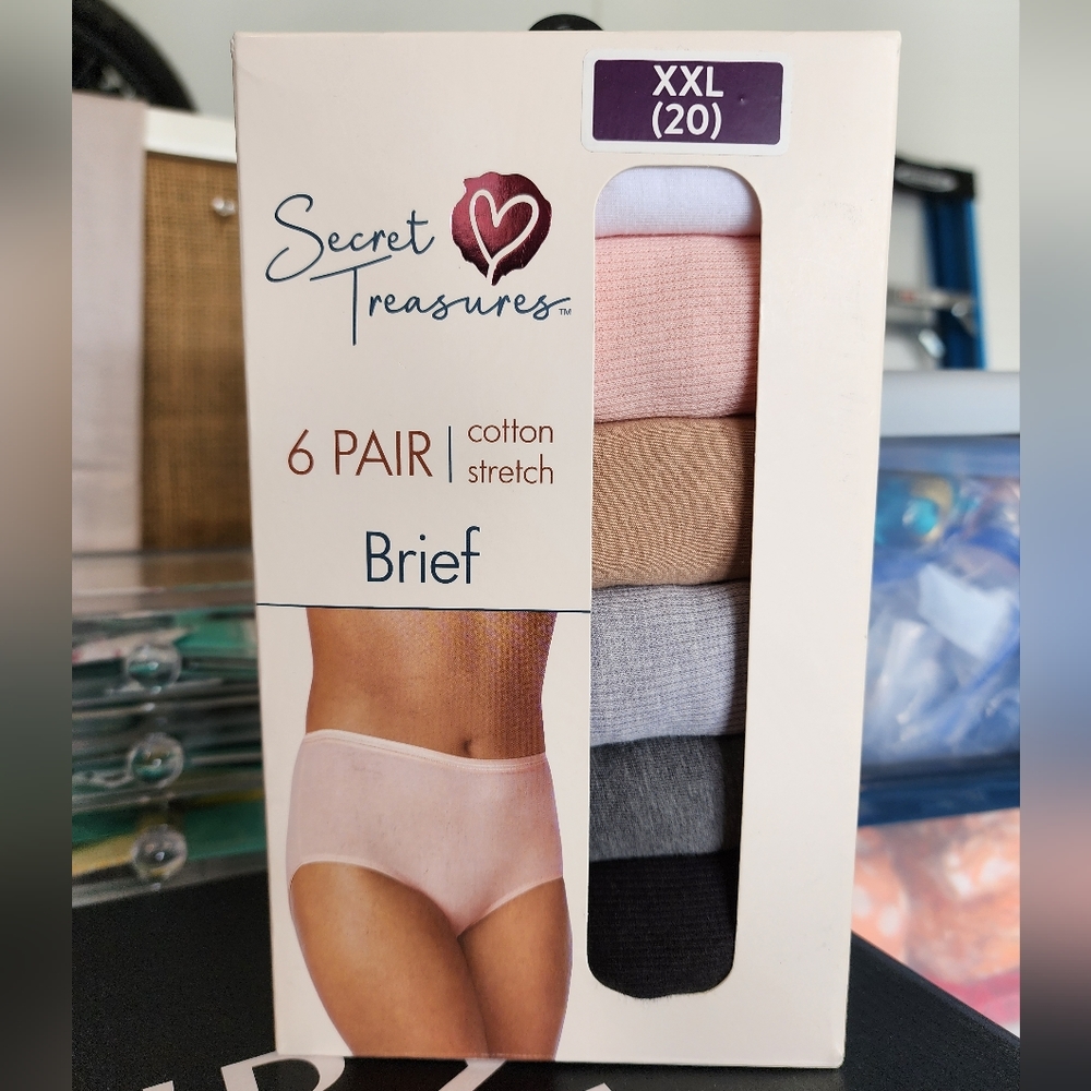 Plus Size Brief Panties